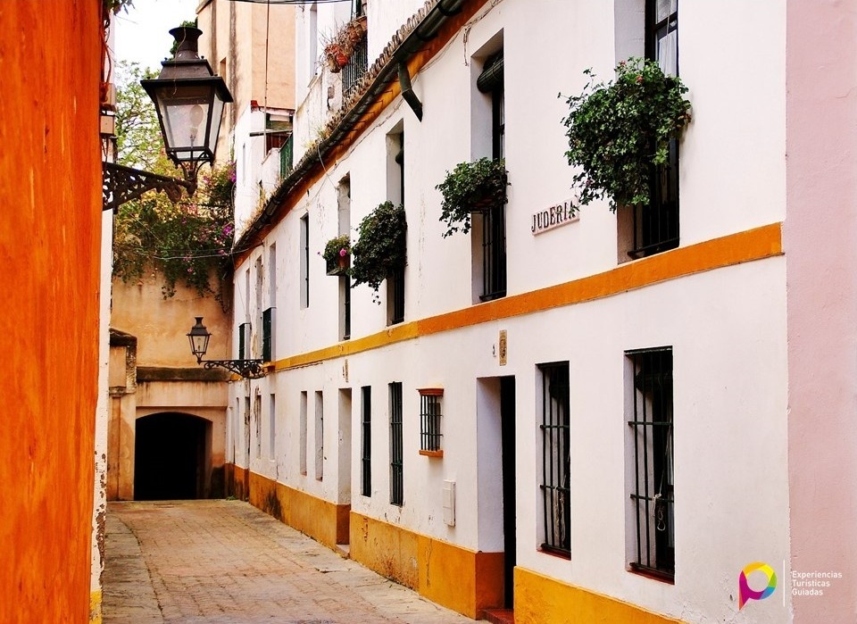 Calle empedrada y casas blancas